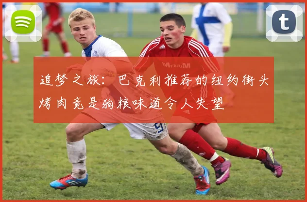 追梦之旅：巴克利推荐的纽约街头烤肉竟是狗粮味道令人失望