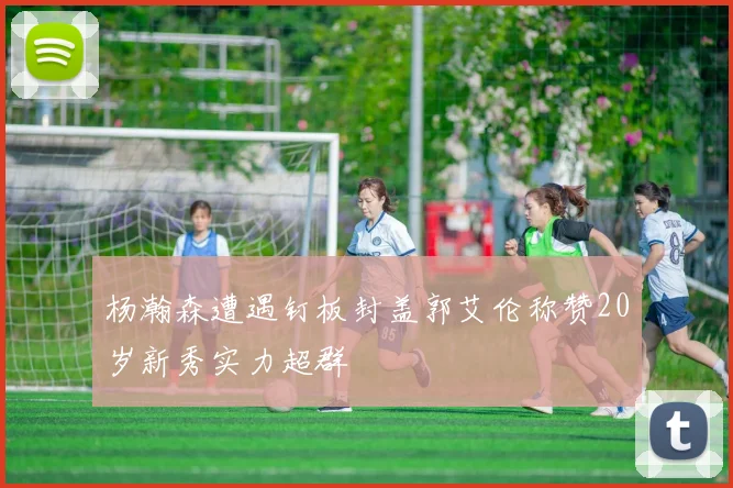 杨瀚森遭遇钉板封盖郭艾伦称赞20岁新秀实力超群